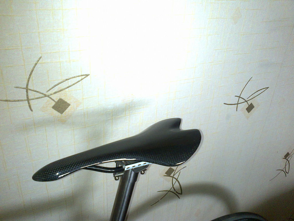 Sedyne carbon.jpg